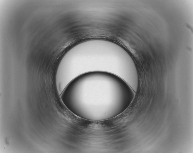 X0000094440211200711081032