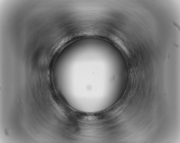 X0000094440212200711081032