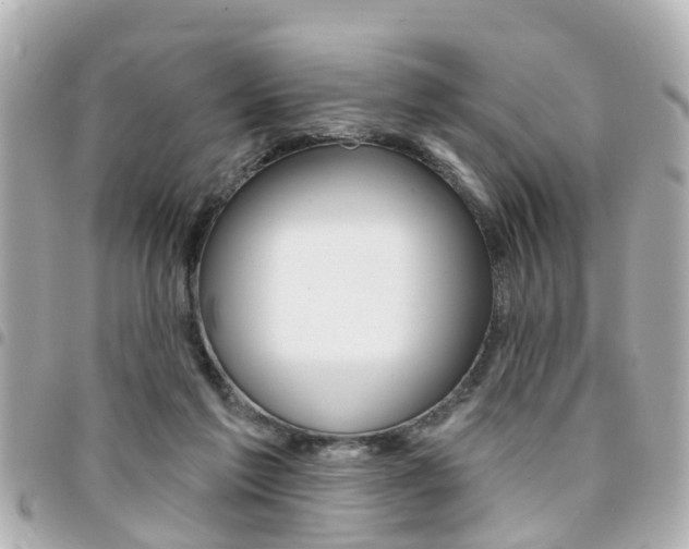X0000094440213200711081032