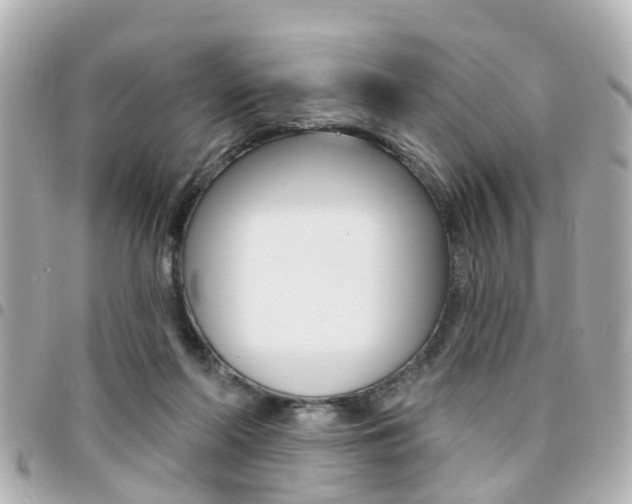 X0000094440214200711081032