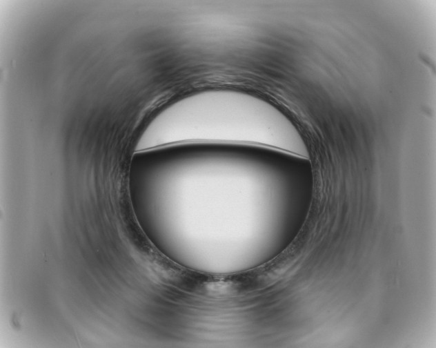 X0000094440216200711081032