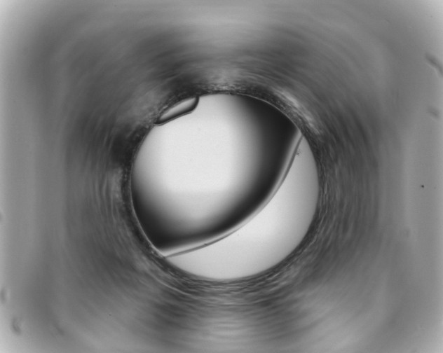X0000094440217200711081032