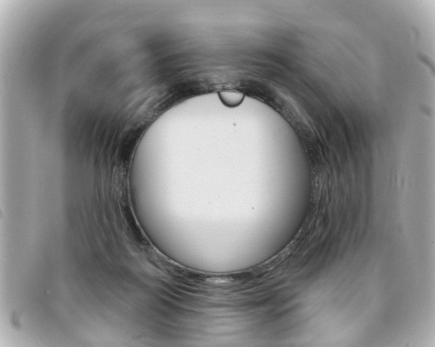 X0000094440218200711081032