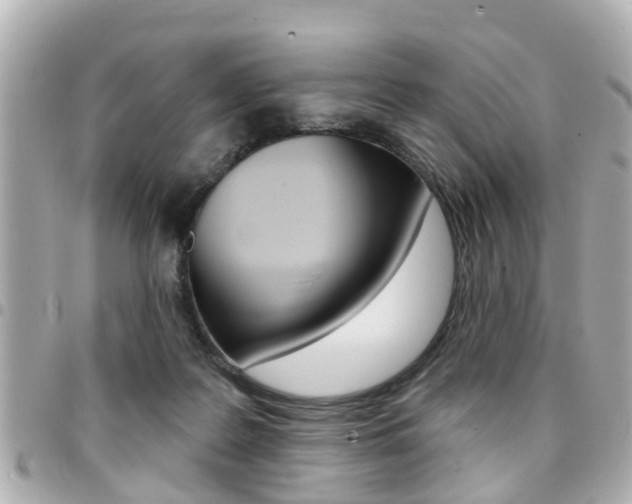 X0000094440219200711081032