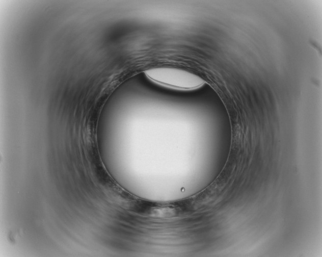 X0000094440220200711081032
