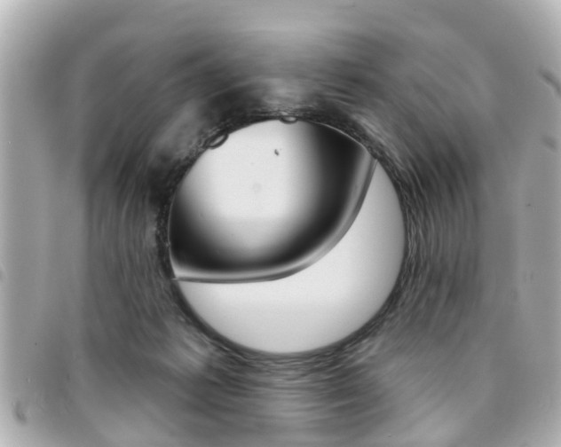 X0000094440221200711081032