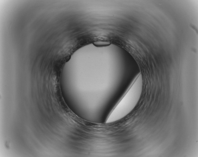 X0000094440223200711081032