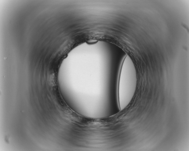 X0000094440224200711081032