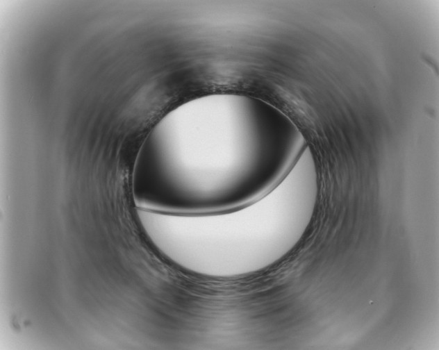 X0000094440225200711081032