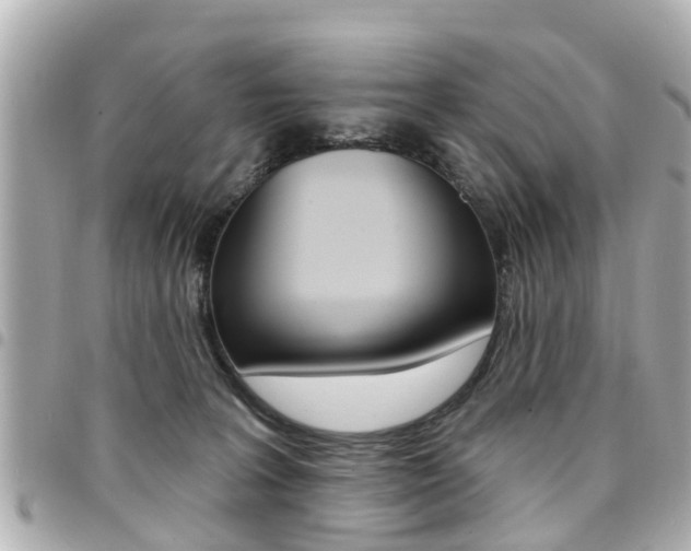 X0000094440227200711081032