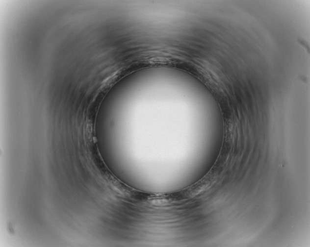 X0000094440228200711081032