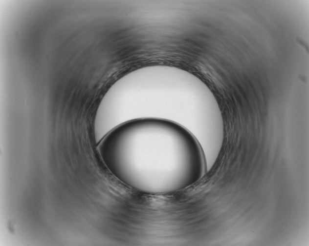 X0000094440229200711081032