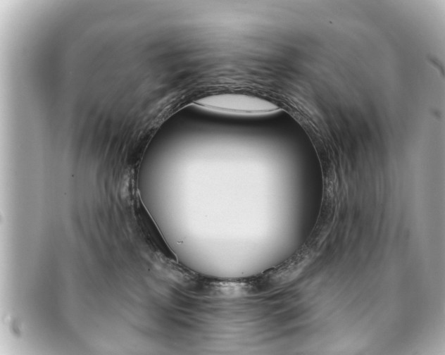 X0000094440233200711081032