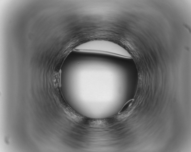 X0000094440237200711081032