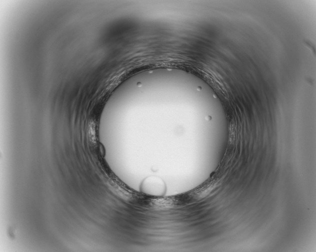 X0000094440238200711081032
