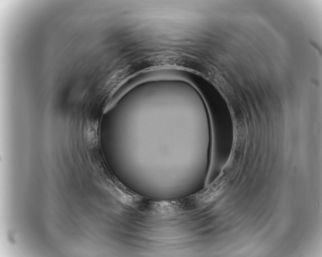 X0000094440239200711081032