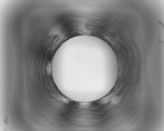 X0000094440240200711081032