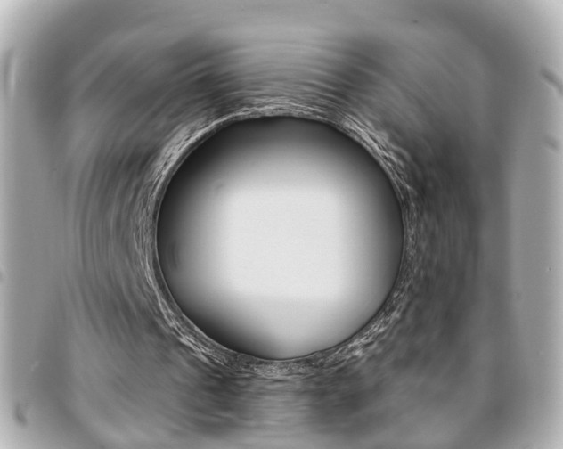 X0000094440241200711081031