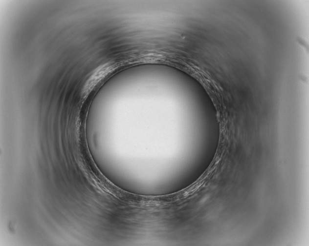 X0000094440242200711081031