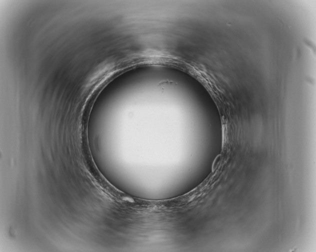 X0000094440243200711081031