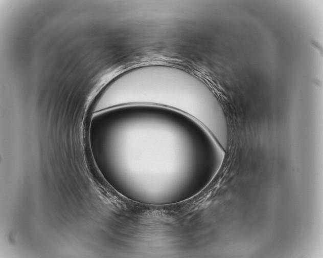 X0000094440244200711081031