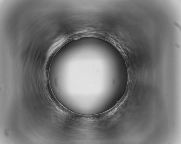 X0000094440245200711081031