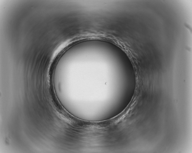 X0000094440246200711081031