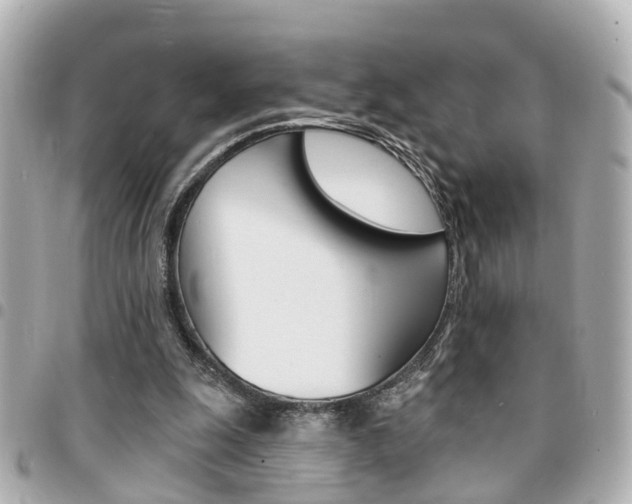 X0000094440247200711081031