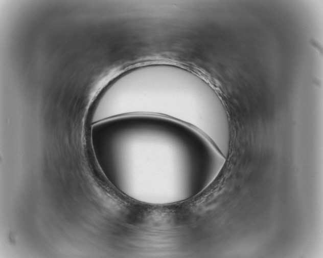 X0000094440248200711081031