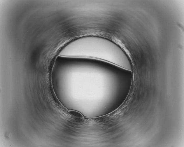 X0000094440249200711081031