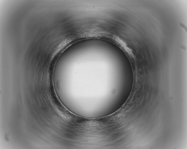 X0000094440250200711081031