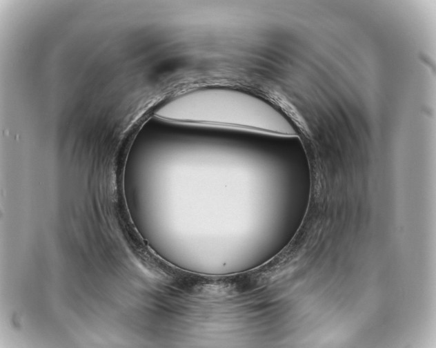 X0000094440251200711081031