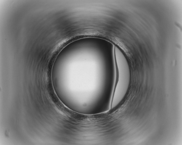 X0000094440252200711081031