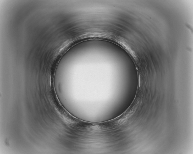 X0000094440253200711081031