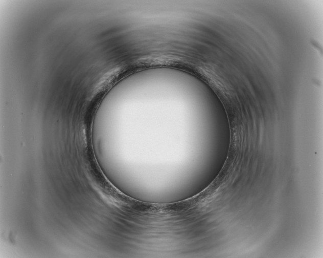X0000094440254200711081031