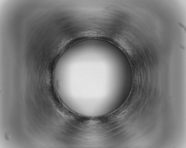 X0000094440255200711081031