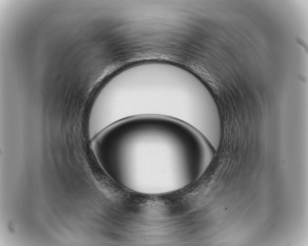 X0000094440256200711081031