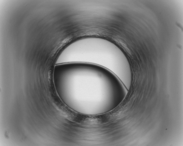 X0000094440260200711081031
