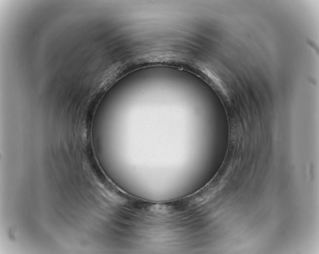 X0000094440261200711081031