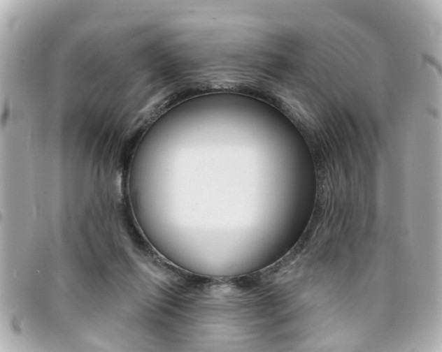X0000094440262200711081031