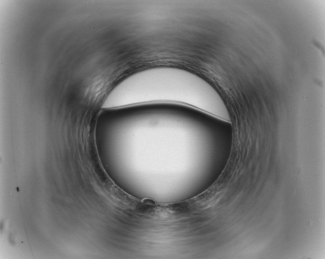 X0000094440263200711081031