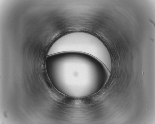 X0000094440264200711081031