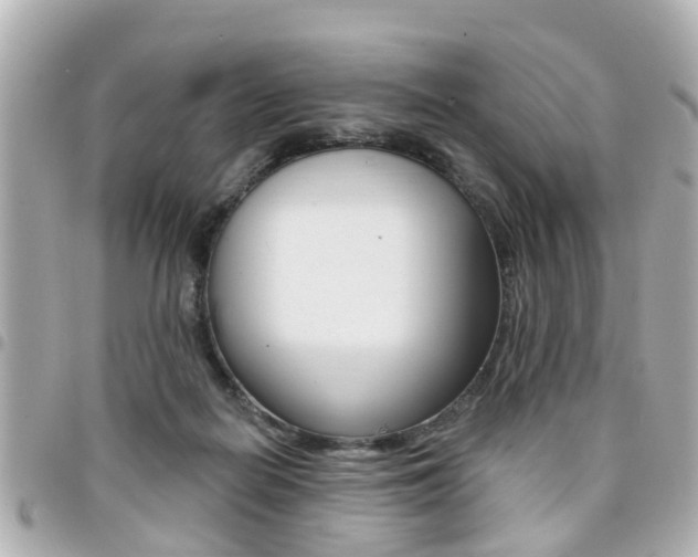X0000094440266200711081032