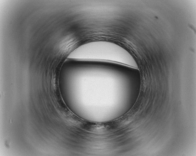 X0000094440267200711081032