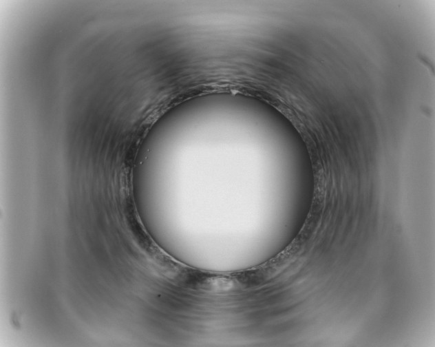 X0000094440272200711081032