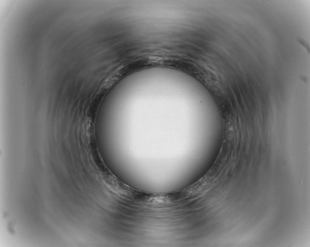 X0000094440275200711081032