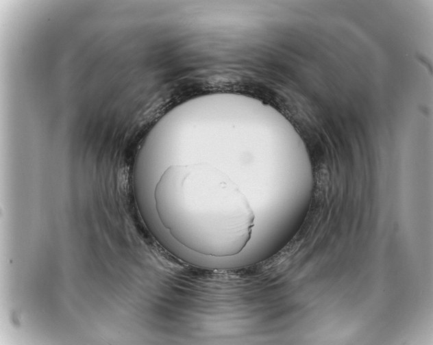 X0000094440278200711081032