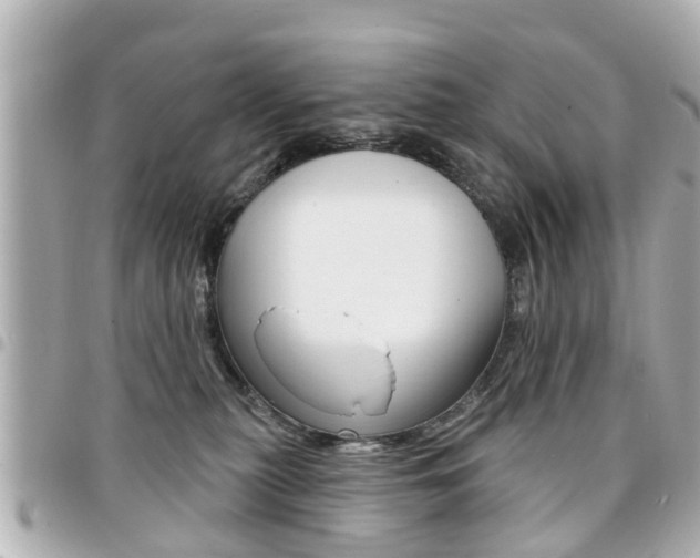 X0000094440279200711081032