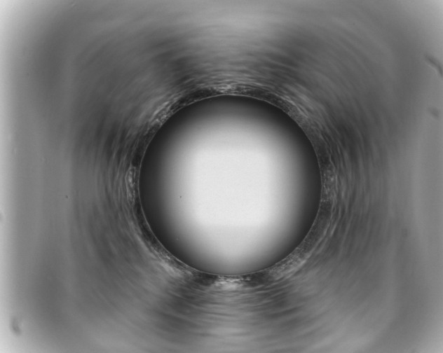X0000094440280200711081032