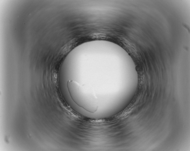 X0000094440281200711081032